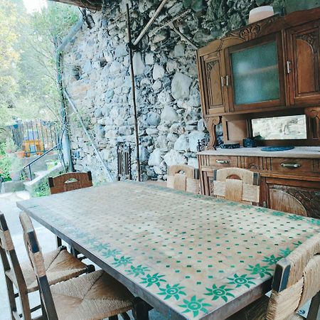 Gite Et Jardin En Bord De Riviere Saumane Zewnętrze zdjęcie