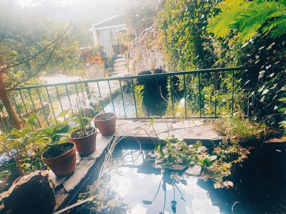 Gite Et Jardin En Bord De Riviere Saumane Zewnętrze zdjęcie