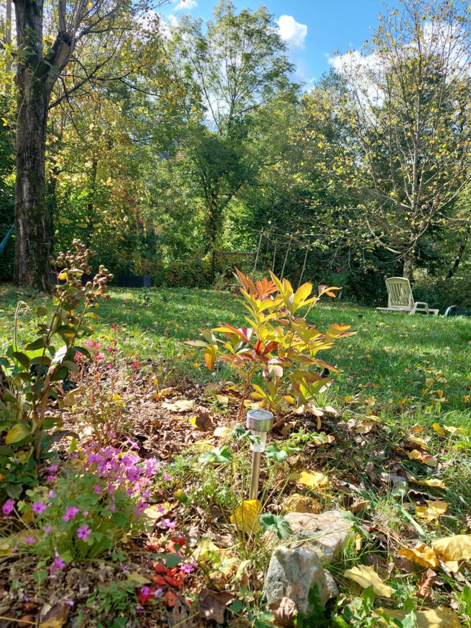 Gite Et Jardin En Bord De Riviere Saumane Zewnętrze zdjęcie