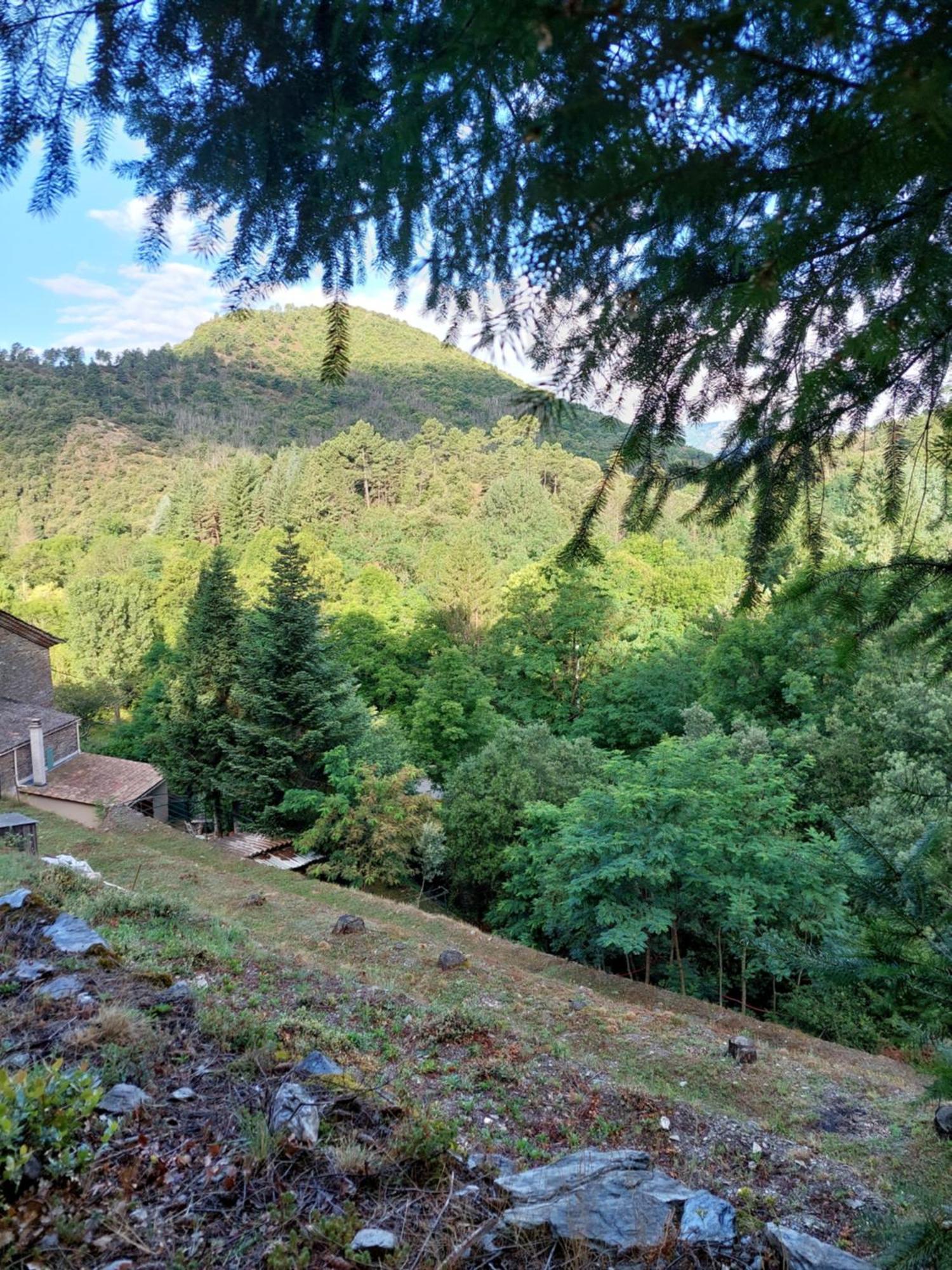 Gite Et Jardin En Bord De Riviere Saumane Zewnętrze zdjęcie