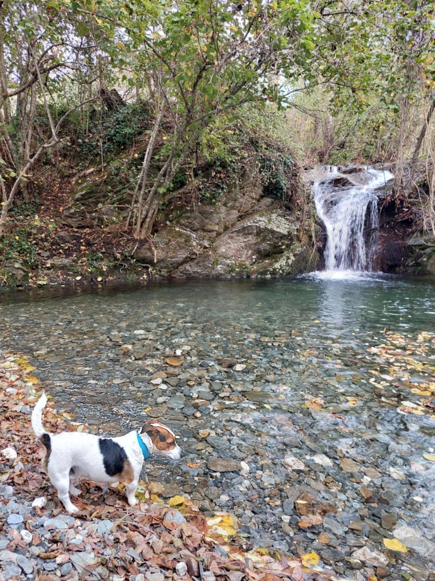 Gite Et Jardin En Bord De Riviere Saumane Zewnętrze zdjęcie